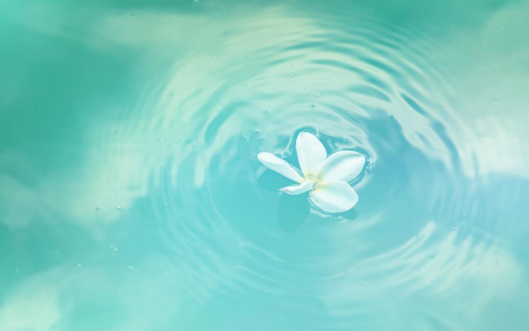 Que tu boca sea un canal de bendición